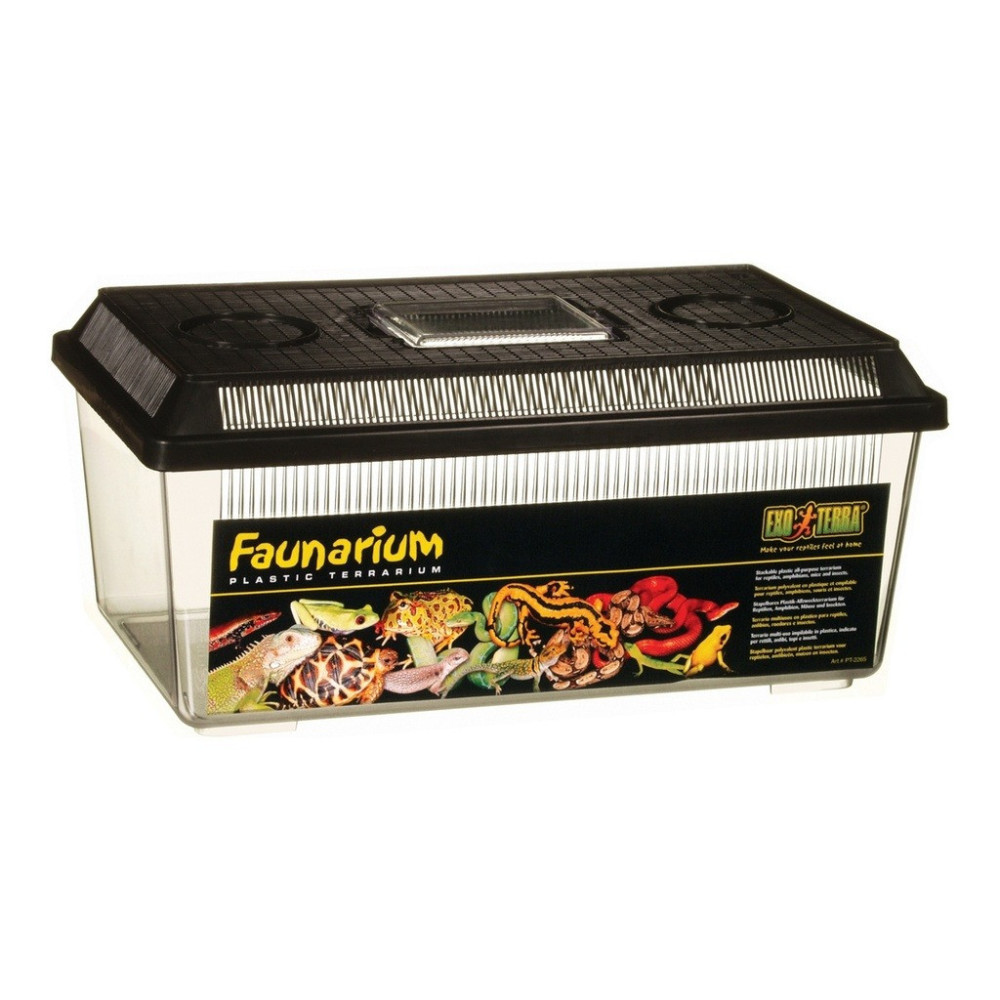Exo Terra Faunarium Flat, Plastic Reptile Terrarium, Medium