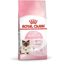 Royal Canin Feline Health Nutrition Mother And Babycat, 10 Kg