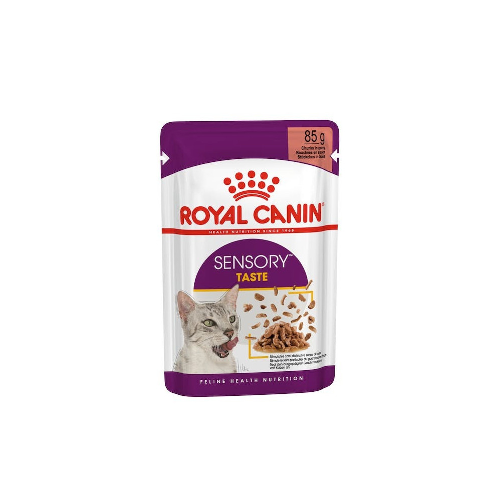 Royal Canin Feline Health Nutrition Sensory Taste Gravy, Wet Food-Pouches, 12 x 85 G