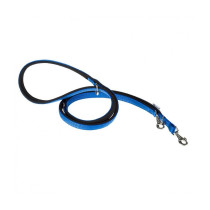 Ferplast Daytona GA Nylon Leash For Dogs, Blue, 20Mm x L 200 Cm