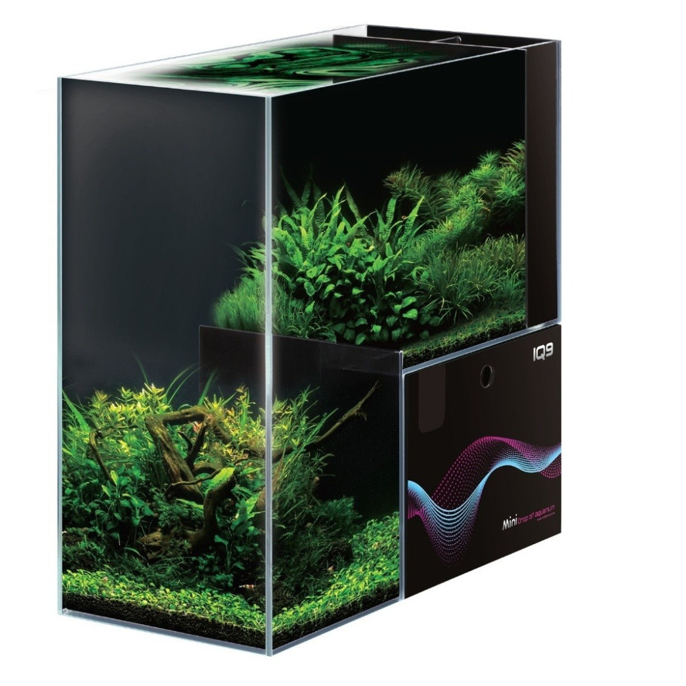 Dymax Iq9 Mini Drop Off Acrylic Aquarium Freshwater Tank, Lwh 470 x 220 x 470Mm