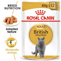 Royal Canin Feline Breed Nutrition British Shorthair, 12 x 85G