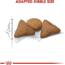 Royal Canin Feline Breed Nutrition British Shorthair Adult, 4 Kg