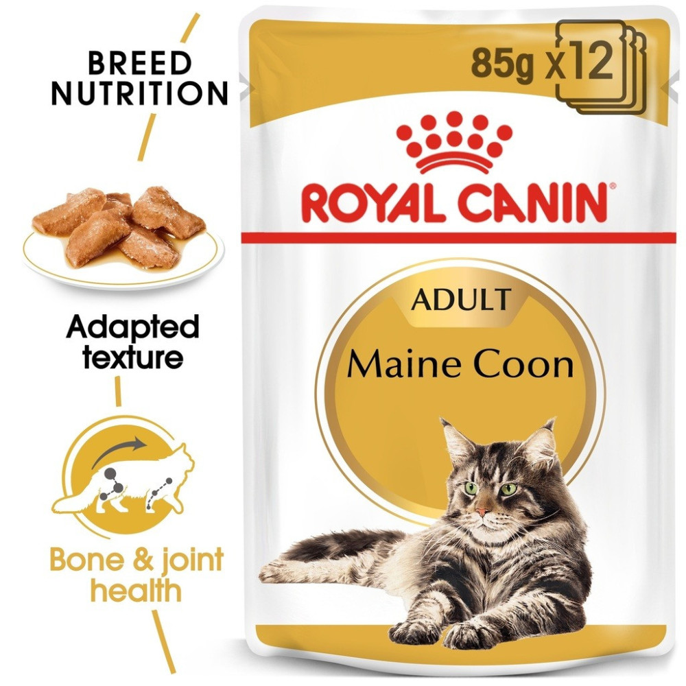 Royal Canin Feline Breed Nutrition Maine Coon, 12 x 85G