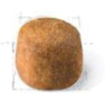 Royal Canin Feline Breed Nutrition Maine Coon Adult, 2 Kg