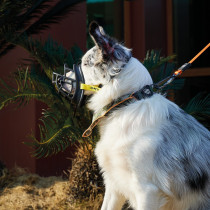 M Pets Comfortable And Adjustable Bark Guard Dog Muzzle With Lockable Buckle XL, Black