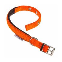Ferplast Canine Dog Collar, 35Cm x 15Mm, Orange