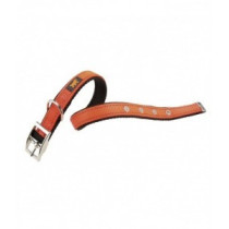 Ferplast CF25-45 Dual Colours Dog Lead, Orange, 37-45 Cm