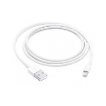 Apple Lightning To USB...