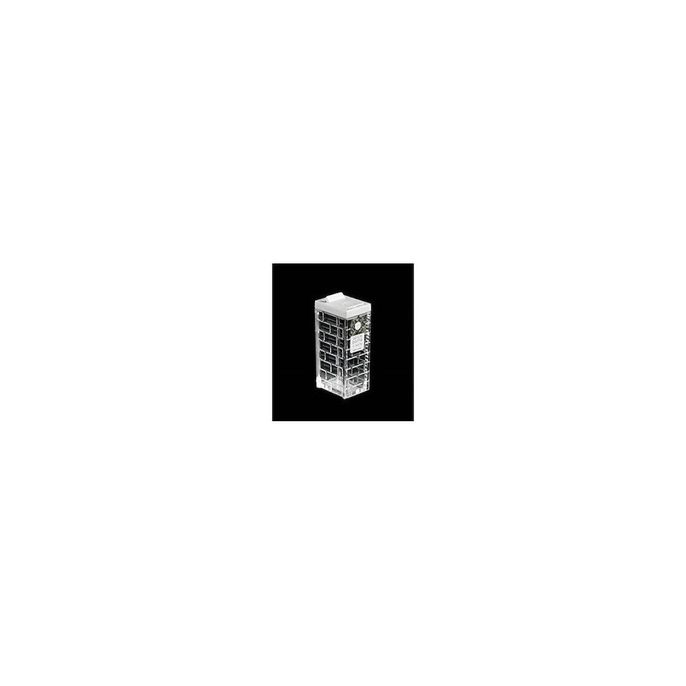 Hokan Sho Transparent Plastic Spice Bottle, White