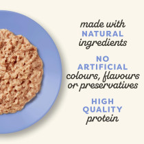 Applaws 70g x 12pcs, Tuna Fillet With Sardine Senior Wet Cat Food Tin