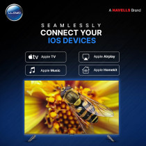 Lloyd 55 Inch Smart 4K UHD WebOS LED TV, HDR, Apple TV, Air Play, Apple Home Kits, Bezel-less Design, Magic Remote, Dolby Audio, 8 GB ROM, 1.5 GB RAM, D55US850E