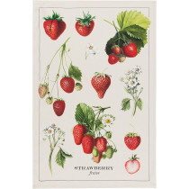 Now Designs Vintage Straberries Printed Kitchen Towel 18 x 28Inch
