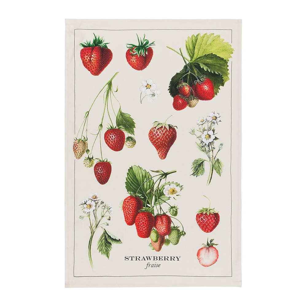 Now Designs Vintage Straberries Printed Kitchen Towel 18 x 28Inch