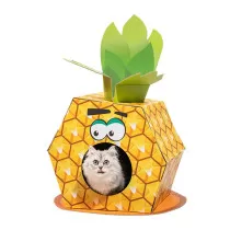Fofos Pineapple Cardboard...