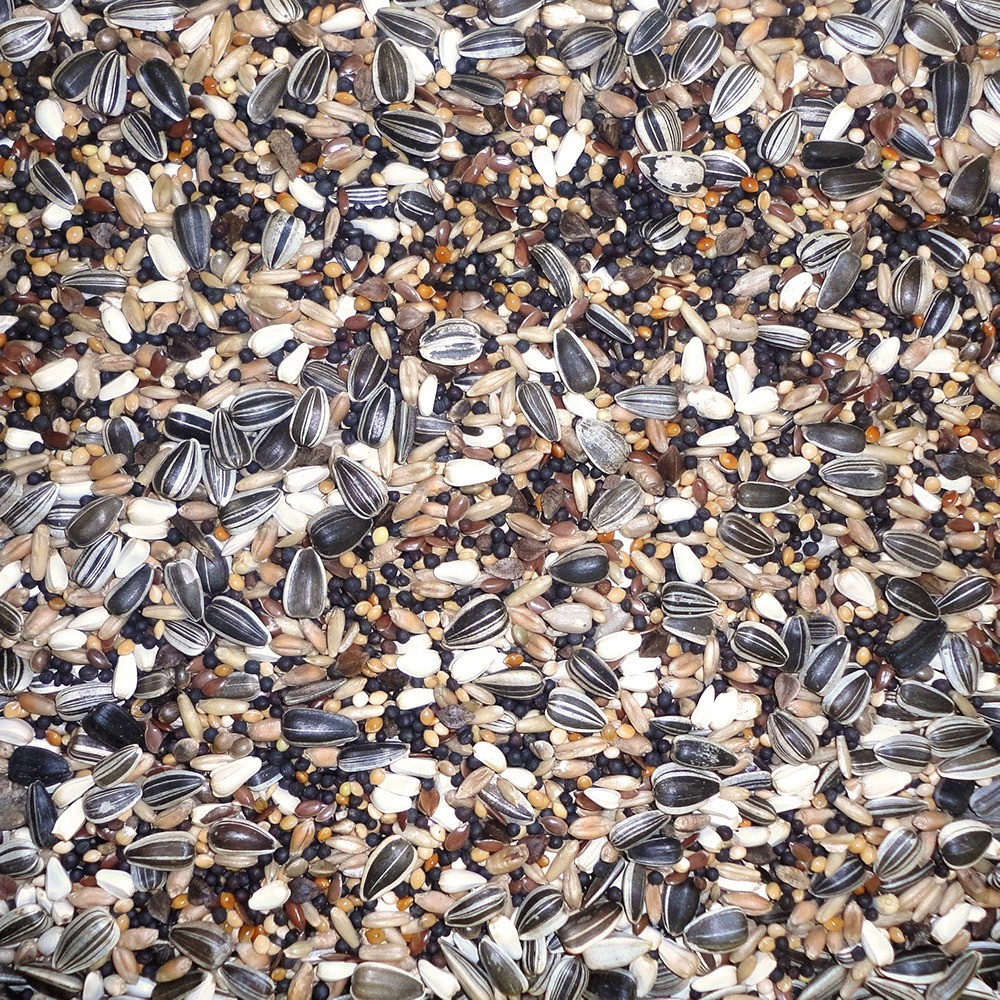 Farma Finch Budget Mix For Birds, Balanced Nutrition, 20 Kg