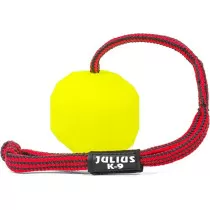 Julius-K9 Fluorescent Ball...