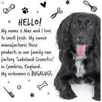 Bugalugs Luxury 2 in 1 Papaya And Coconut Dog Shampoo And Conditioner, 500ml