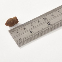 Fish4Dogs 150g Support Plus Puppy Salmon Mini Morsels Treat, Dog Foods