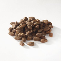 Fish4Dogs 150g Support Plus Puppy Salmon Mini Morsels Treat, Dog Foods