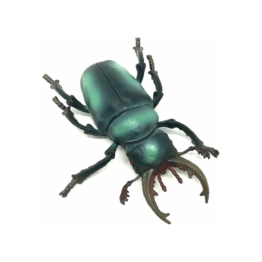 Keycraft Giant Plastic Insects With Realistic Detail For Kids 3 Years And Above