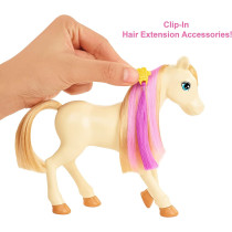 Barbie Groom 'n Care Horses Playset with Barbie Doll Blonde 11.5 in, 2 Horses & 20+ Grooming and Hairstyling Accessories, Gift for 3 to 7 Year Olds GXV77, Multi colour