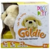 Pugs At Play Goldie Walking...