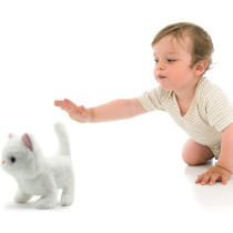 CASPER WALKING CAT, Pugs At Play