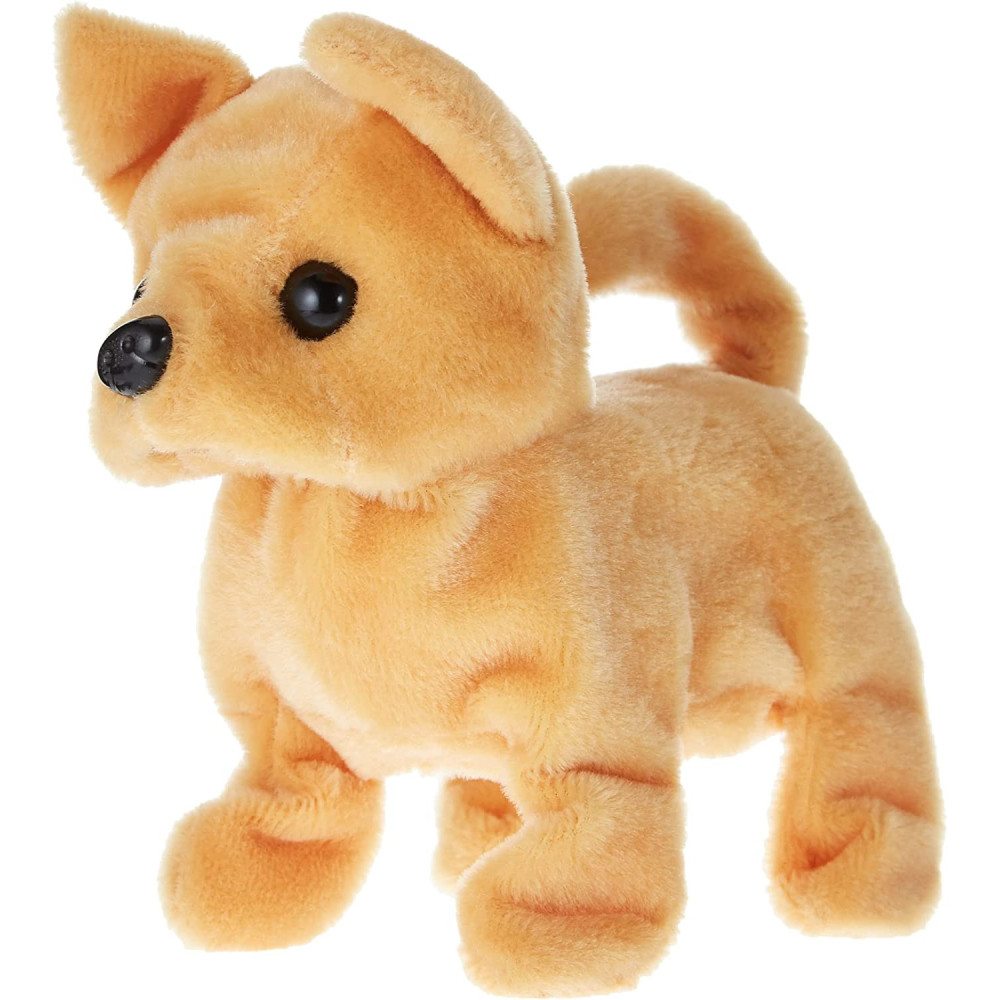 CHILI WALKING DOG