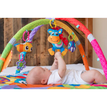 Clip Clop Musical Activity Gym