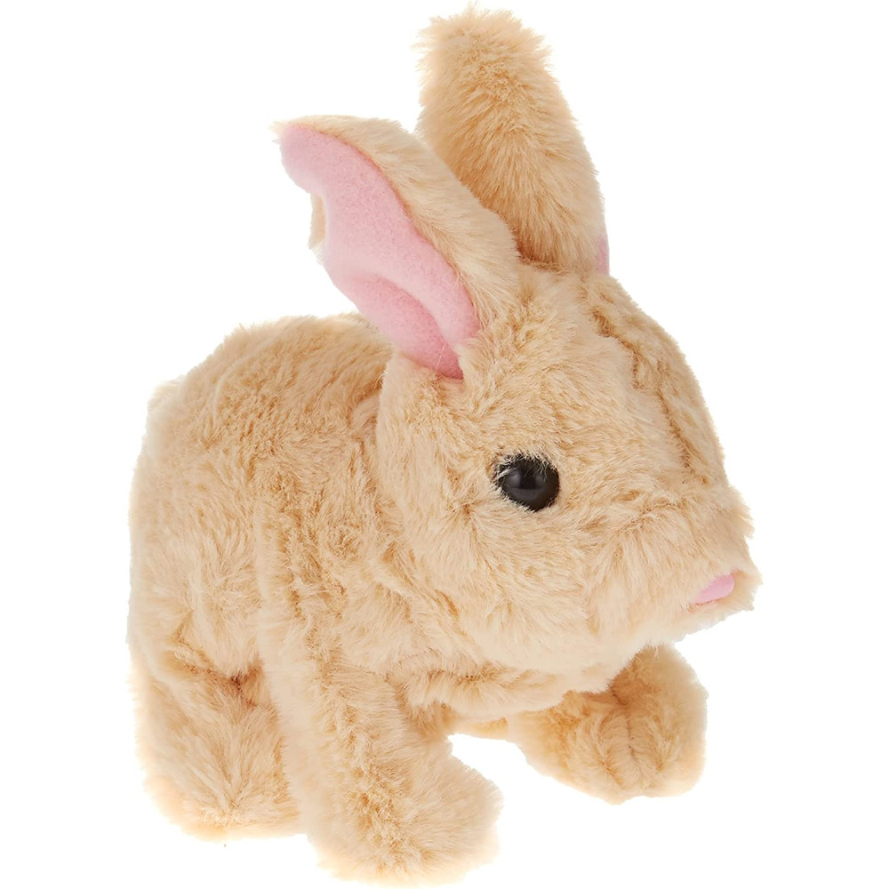 Cookie Jumping Rabbit, Pugs At Play, St Pap11, Hopping Club