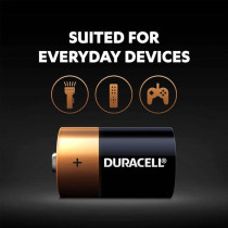 Duracell D2 1.5V Alkaline Long Lasting Power Batteries Pack Of 2