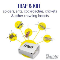 Terro Spider And Insect Traps Pack Of 4 Glue Traps