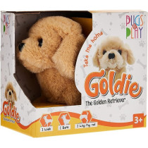 Pugs At Play Goldie The Golden Retriever Dog For Kids