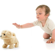 Pugs At Play Goldie The Golden Retriever Dog For Kids