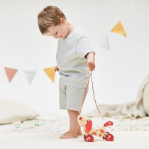 Hape Walk-A-Long Puppy Push And Pull Walk-A-Long Wooden Toy