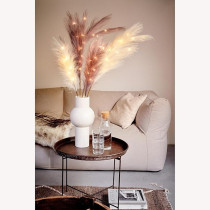 Charlies Warm White Pre-Lit Polyester Pampas Light