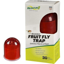 Rescue Reusable Fruit Fly Trap Catches Flies In a Flash