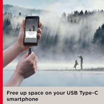 Sandisk 128Gb Ultra Dual Drive Go Usb Type C Flash SDDDC3 128G G46, Black