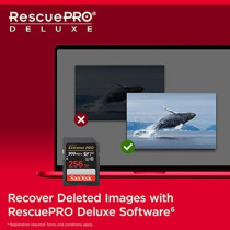 Sandisk 256GB Extreme Pro Sdxc Card Plus RescuePRO Deluxe, Up To 200Mb/s, Uhs I, Class 10, U3, V30, SDSDXXD 256G GN4IN, Black