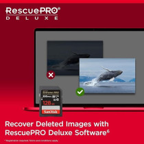 SanDisk 128GB Extreme PRO SDXC Card Plus RescuePRO Deluxe, up To 200MB/s, UHS I, Class 10, U3, V30 SDSDXXD 128G GN4IN, Black