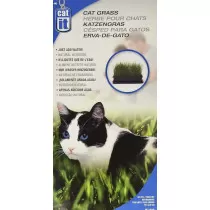 Hagen Catit Cat Grass, 75 Gram
