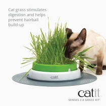 Catit Cat Grass Kit For The Catit Senses Grass Planter, Pack Of 3
