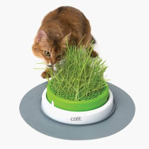 Catit Cat Grass Kit For The Catit Senses Grass Planter, Pack Of 3