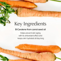 SKIN FOOD since 1957 Carrot Carotene Calming Water Pad 60 Sheets, 250G