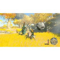 Legend of Zelda Tears of the Kingdom Nintendo Switch