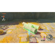 Legend of Zelda Tears of the Kingdom Nintendo Switch