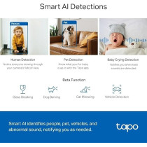 TP-Link Tapo Pan/Tilt Ai Home Security Wi-Fi Camera Identifies People, Pets, And Vehicles/Abnormal Sound Detection, Two-Way Audio, Flexible Storage And Hands-Free Operation - C220