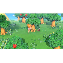 Nintendo Switch Animal Crossing New Horizon