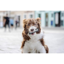 Julius-K9 Gentleman Patch For Dogs, Large